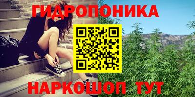 ПСИЛОЦИБИНОВЫЕ ГРИБЫ Донской