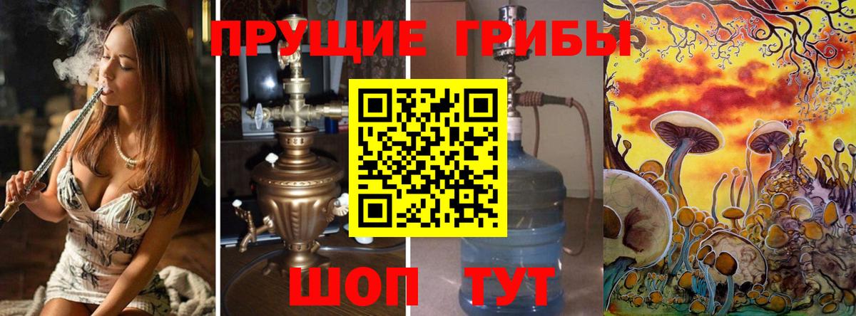 Галлюциногенные грибы Psilocybe Лысьва
